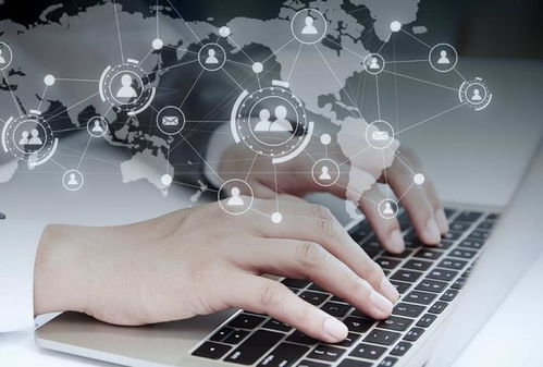 盘点大学里认可度高的三本证书 大一新生必读指南与实用工具推荐