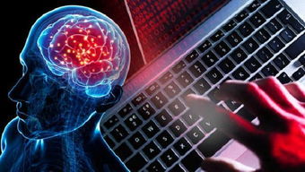 计算机编程基础 必备软件与辅助设备概述